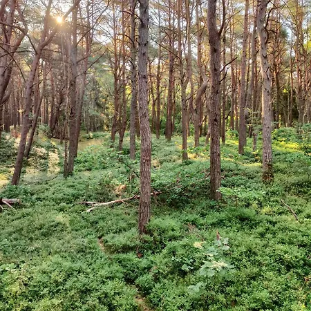 Camping Sloneczne Przyczepy