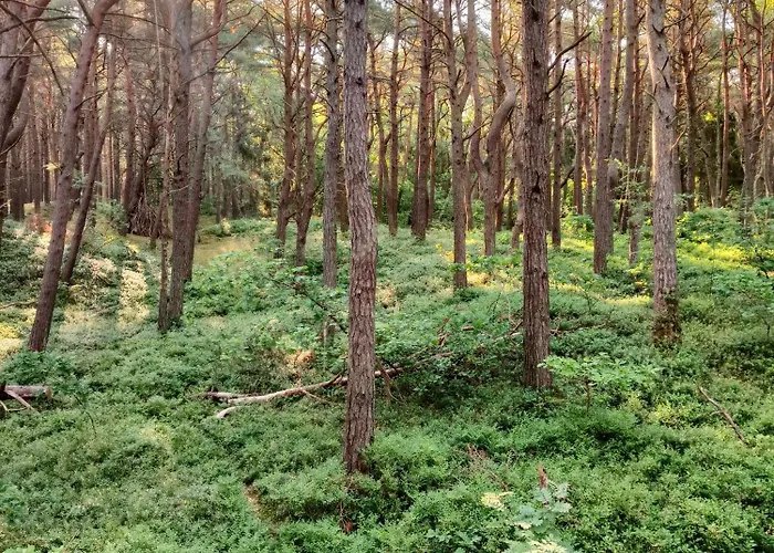 مكان تخييم Sloneczne Przyczepy